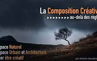 Mieux composer ses photos : une formation pour aller au-delà des règles